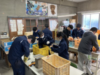 20251217_010909222_iOS