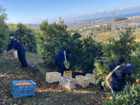 20251218_015453374_iOS