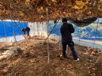 20251218_020839806_iOS