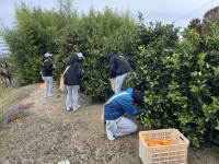 20251224_002400730_iOS