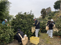 20251224_012128941_iOS