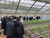 20251225_022616192_iOS