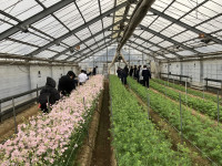 20251225_053917905_iOS