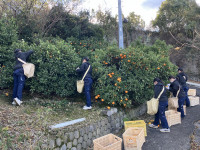 20251226_011526993_iOS