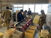 20260106_003421651_iOS