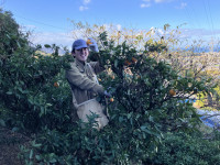 20260106_010729897_iOS