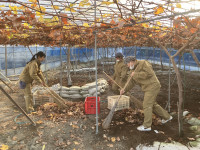 20260106_010355958_iOS