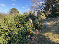 20260109_030332564_iOS