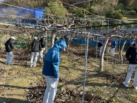 20260113_050157148_iOS