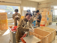 20260116_045406465_iOS