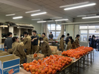 20260116_061427664_iOS