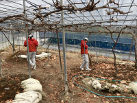 20260120_055107491_iOS