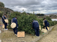 20260121_022231147_iOS