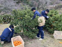 20260121_030116416_iOS