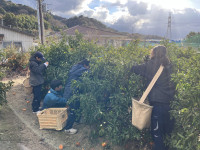 20260122_063127114_iOS