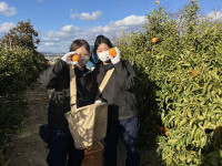 20260122_063305438_iOS