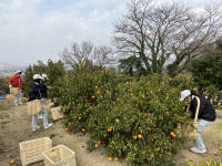 20260127_053050435_iOS