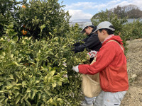 20260127_065123403_iOS