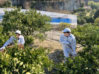 20260203_053142084_iOS