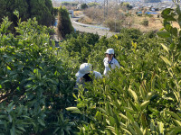 20260203_053256845_iOS