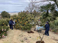 20260205_025538135_iOS