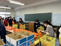 20260205_064532943_iOS