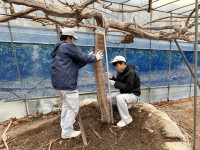 20260210_061044399_iOS