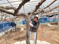 20260210_061101208_iOS