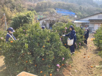 20260212_025152613_iOS