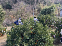 20260212_025207231_iOS