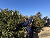 20260218_025857345_iOS