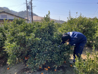 20260219_031044251_iOS