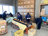 20260219_025549142_iOS