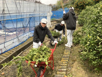 20260303_052401219_iOS