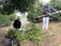 20260303_054725356_iOS