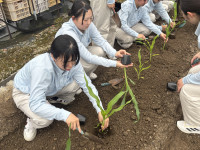 ②