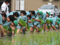 生工　農業と環境　画像