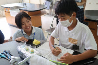 食化　なんか教えてるやつ