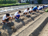 食化　生物活用